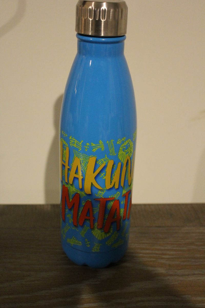 Disney Hakuna Matata water bottle