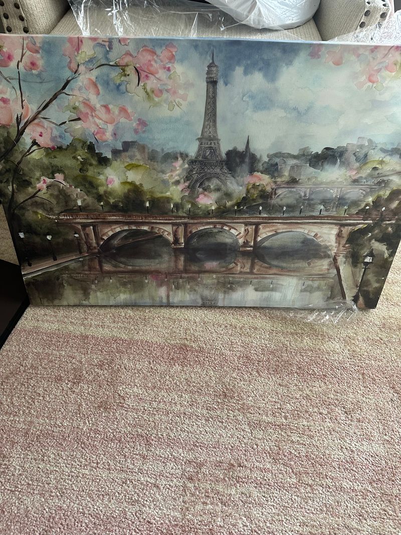Multicolor Spring in Paris picture 35x231/2