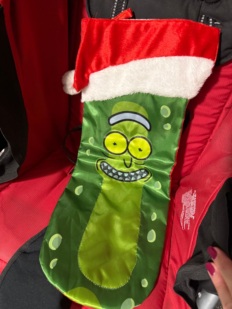 Pickle Stocking Ricky and Morty