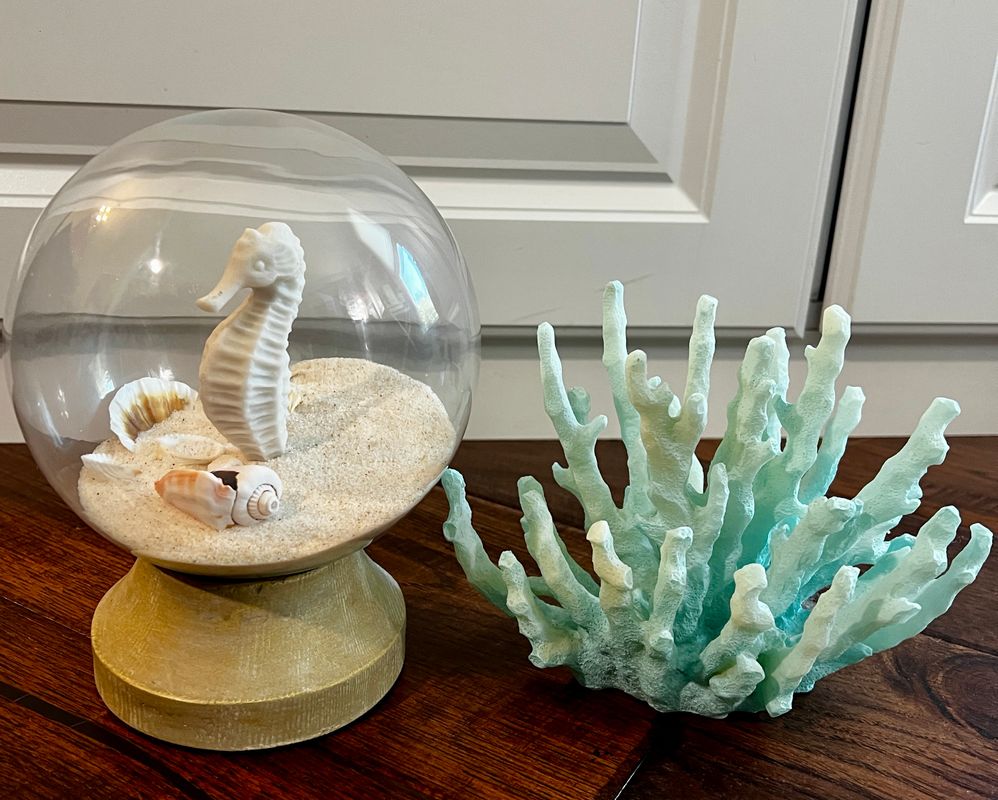 Misc Seahorse Snow Globe, Coral Decor Sand Seashells, Blue Coral