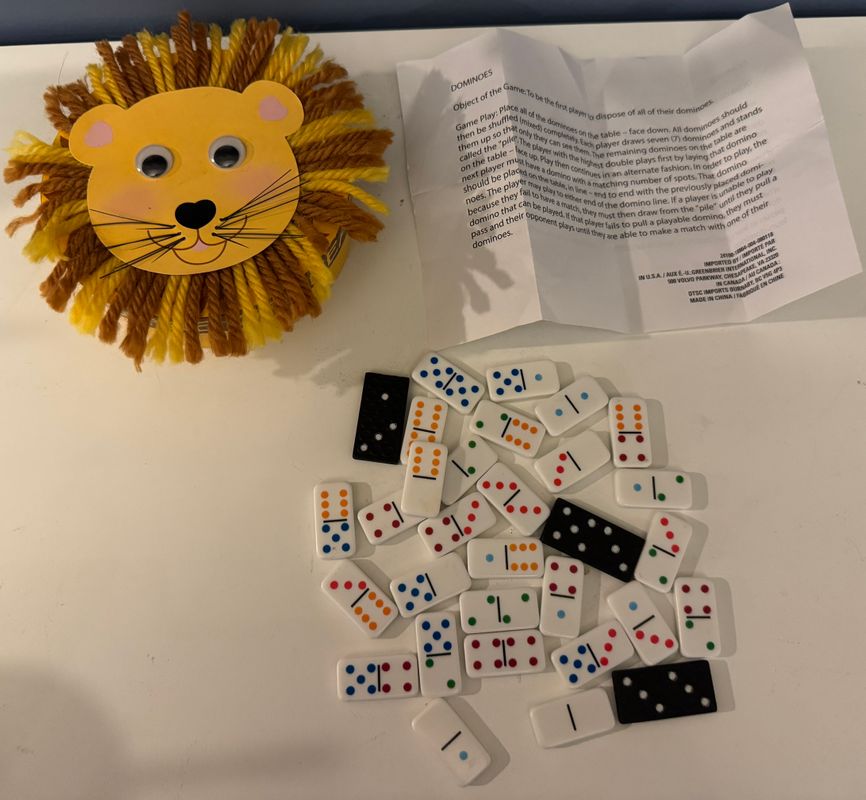 Dominos Tile Game with Cute Lion Storage Case