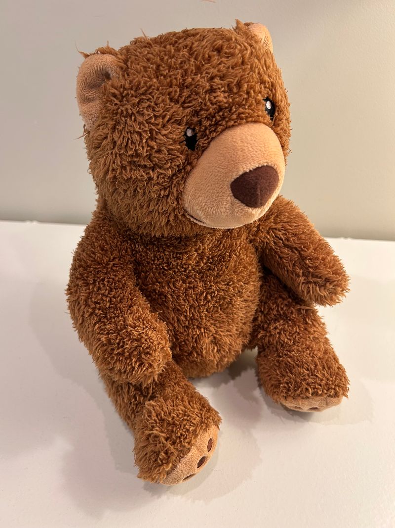 Brown Bear From Kohls Plush Toys
