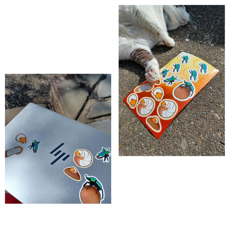 Beetle Stickers - drawn and printed by my daughter 1 sheet