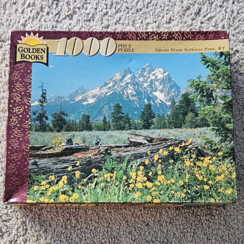 1000 WY park puzzle