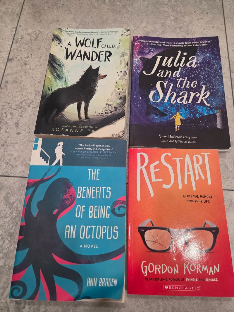 4  early teen books 4 books Youth Chapter Book