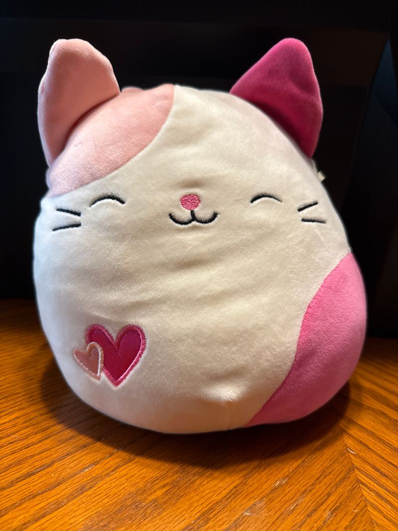 Squishmallow Roxy- Valentine Cat 8 in Color: Pink - No Tag Plush Toys