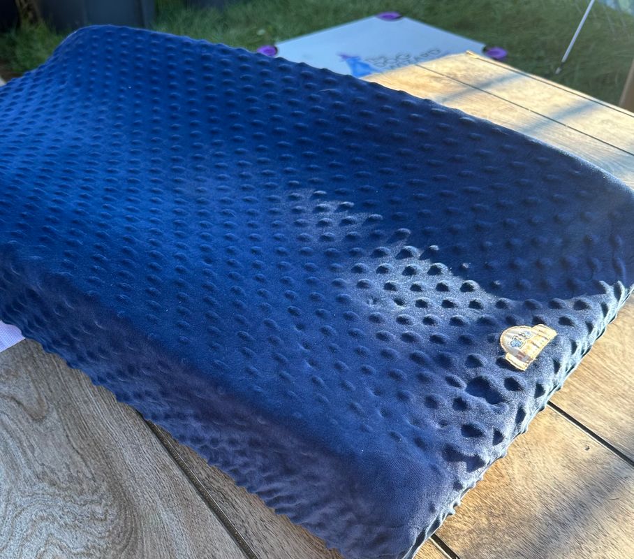 Changing Table Pad Blue cover 32x16 Potty and Diapering