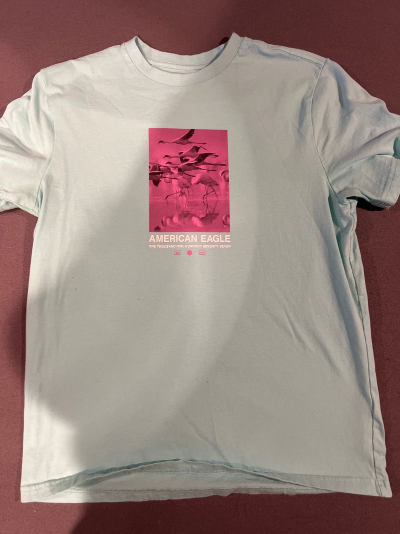 American Eagle Shirt Men's - M