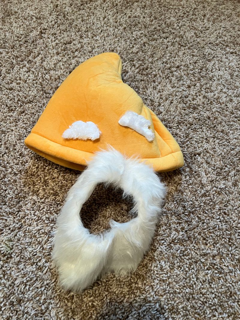 Fun Costumes Disney Dwarf hat, beard, and eyebrows. Adult standard size Adult