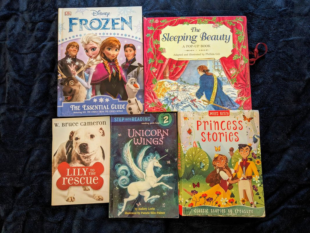 6 fairy tale books frozen, sleeping beauty, princess stories, bedtime stories Early Reader