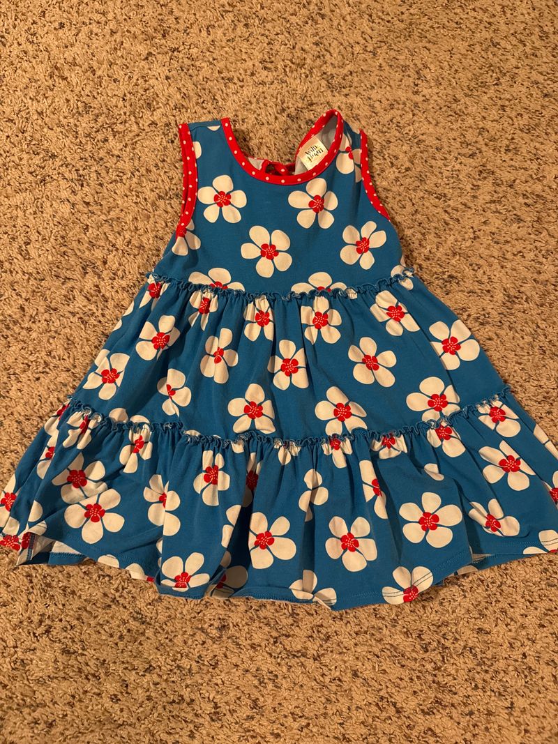 Wild Flowers Blue red white floral dress, marked 4 but fits like 3 3T
