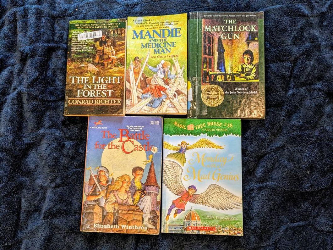5 historical fiction books light in forest, magic treehouse, battle for castle, matchlock Youth Chapter Book