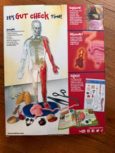 Load image into Gallery viewer, Smart lab. Squishy human body. New!!  Educational
