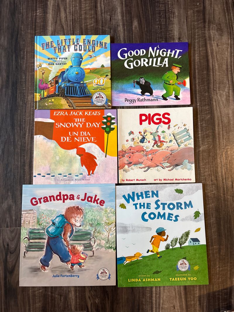 6 book bundle - the snowy day, good night gorilla grandpa & Jake, little engine, pigs, when the storm comes Early Reader