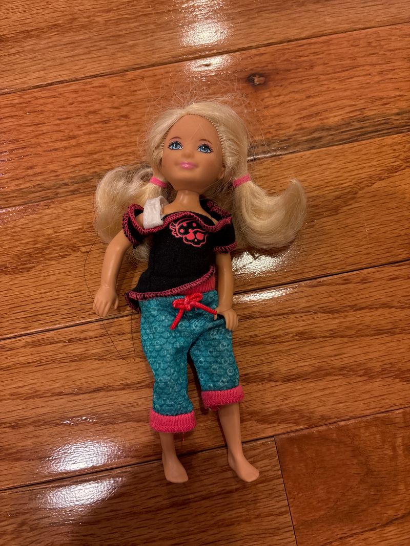 Barbie Little sister Chelsea Dolls and Accessories