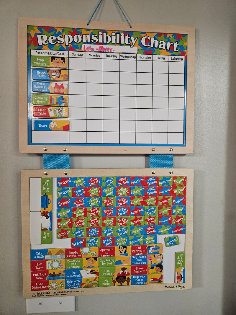 Melissa and dug Chore chart basically brand new