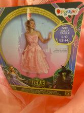 Load image into Gallery viewer, Wicked NWT pink Glinda dress 12
