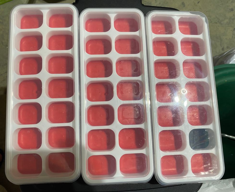 3 Plastic Ice Trays with Lid