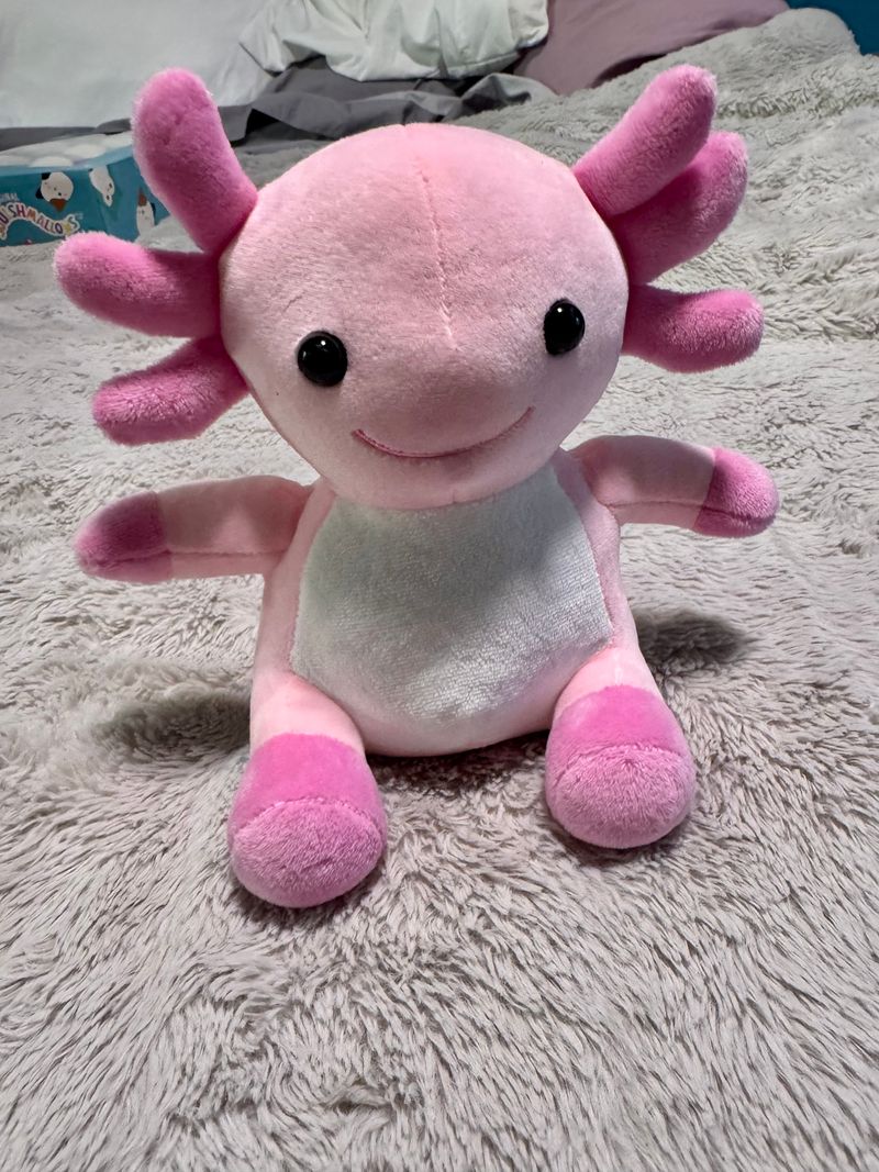 Small axolotyl  Plush Toys