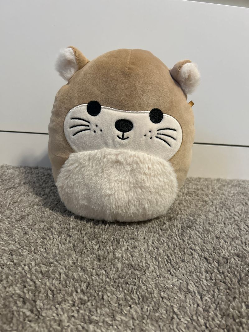 Squishmallows 8 inch in great shape Plush Toys