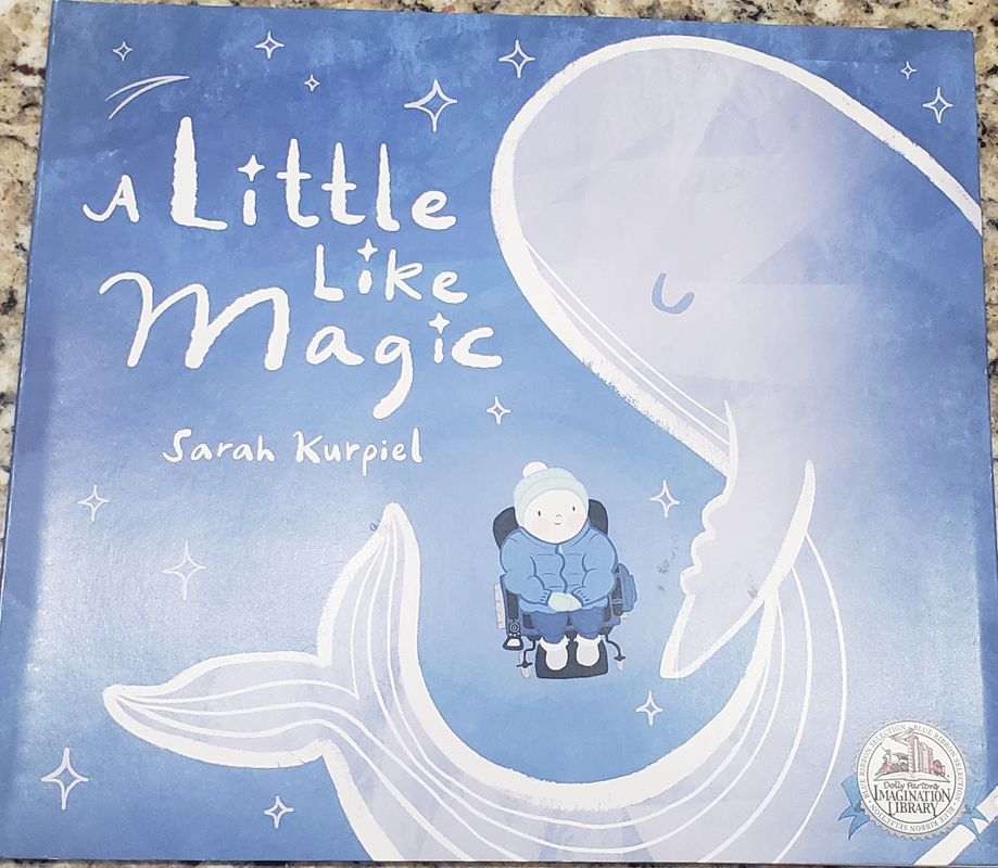 A Little Like Magic  Early Reader