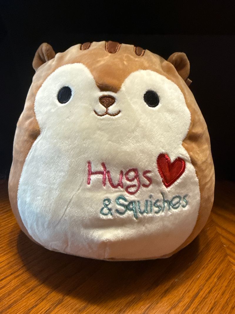 Squishmallow Nic- Valentine Squirrel 8 in Color: Brown - No Tag Plush Toys