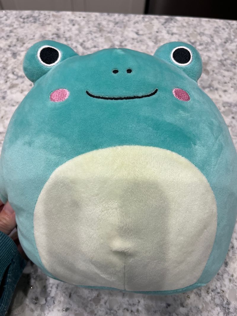 Squishmallows Frog Plush Toys