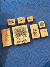 Load image into Gallery viewer, Stampin Up 8 floral stamps of various sizes-LIKE NEW!
