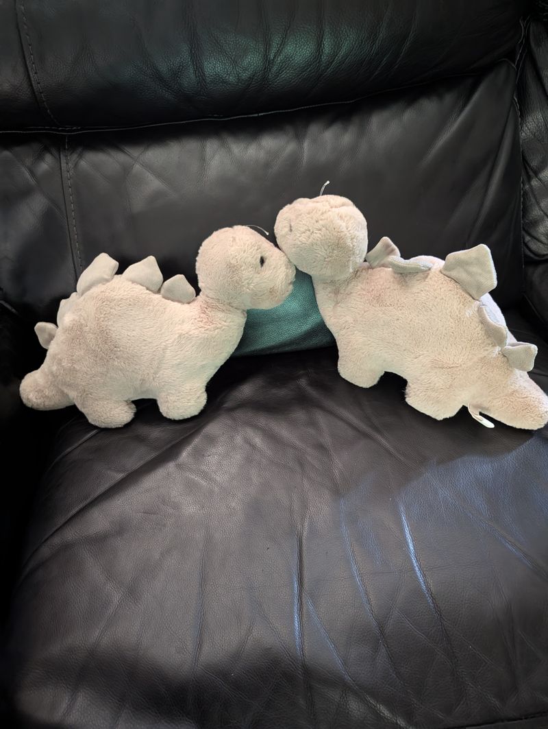 Burton and Burton Burton and Burton 2 piece Dinosaur Set Plush Toys