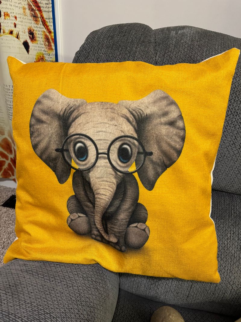 Adorable elephant printed pillow. Can remove Pillow insert for cleaning. Pillow