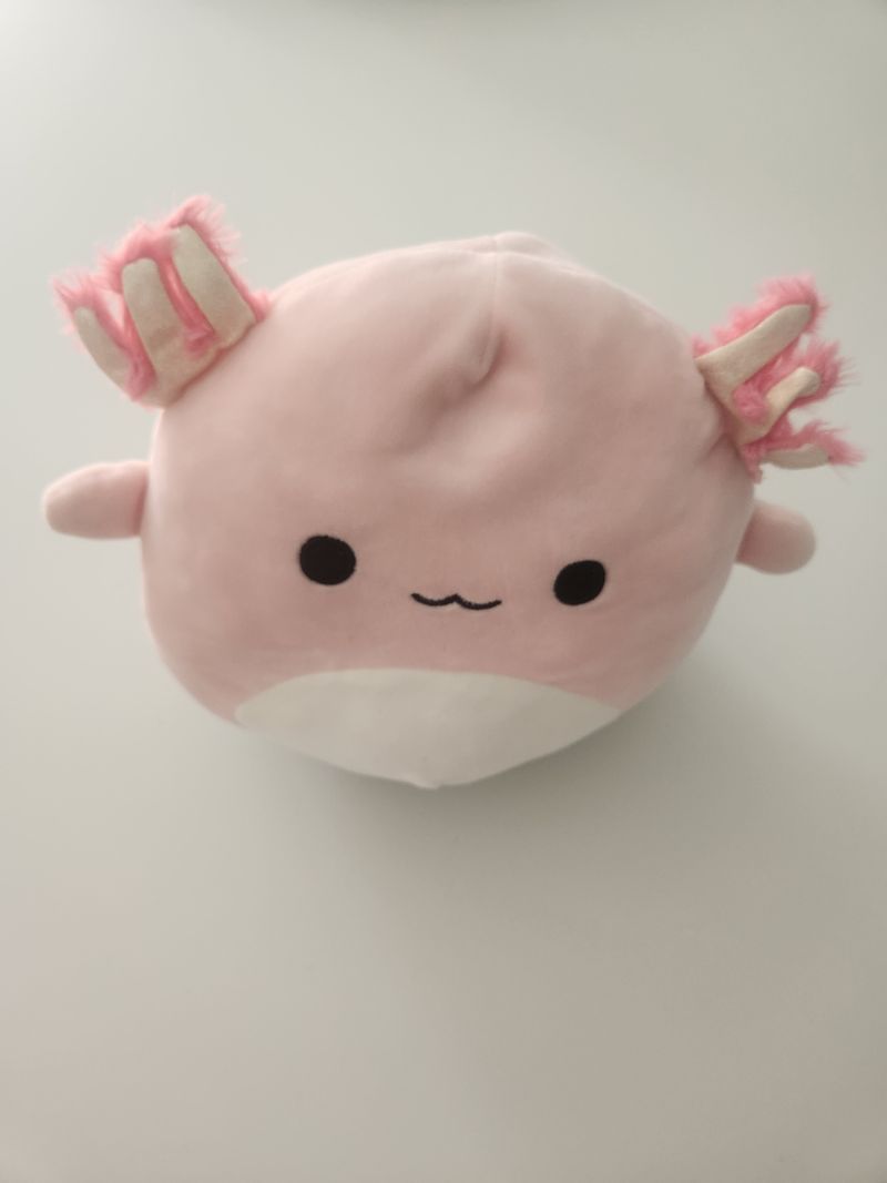 Squishmallow Archie the Axolotl 8 inch Plush Toys