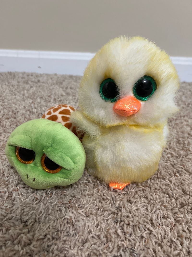 Beanie Boo Duck and turtle Plush Toys