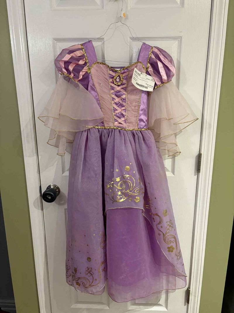 Disney Rapunzel Costume Dress size 11/12  12