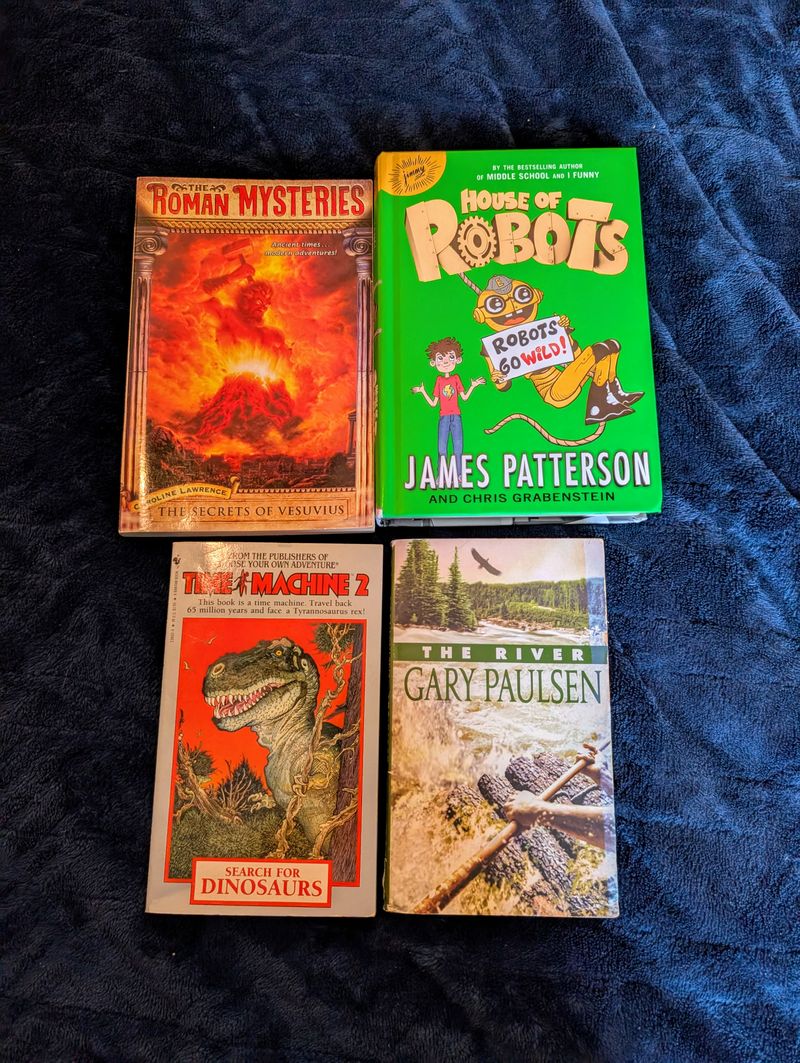 4 adventure books Robots, choose your own, Vesuvius, The River Teen Chapter Book
