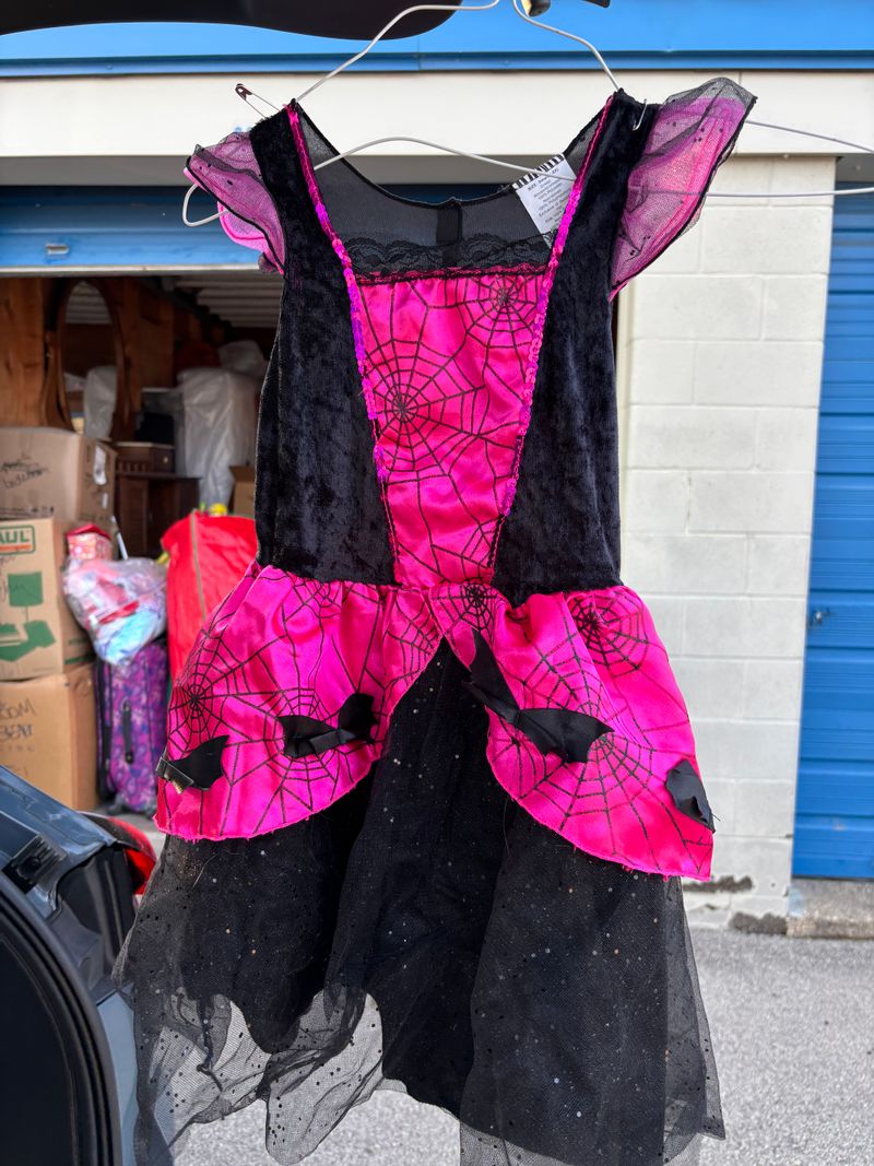 Hot Pink Spider Witch Costume w Tights and Hat 7