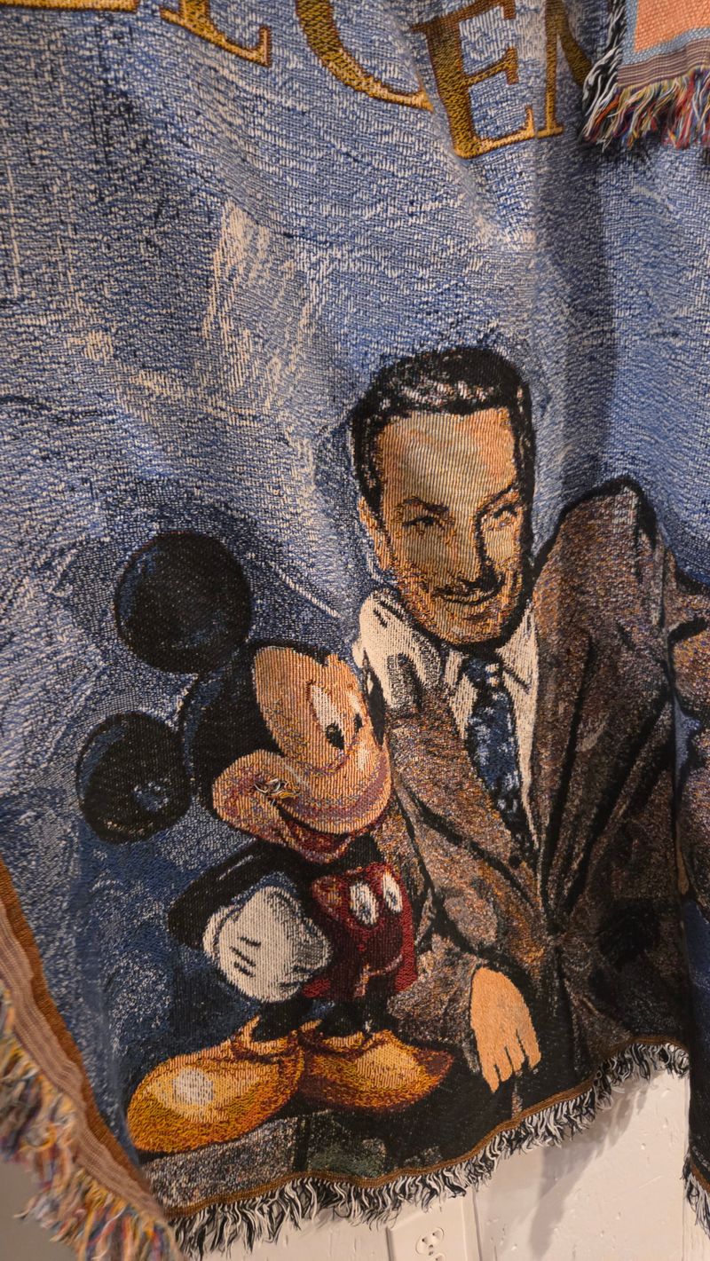Disney Tapestry blanket, small flaw Blanket