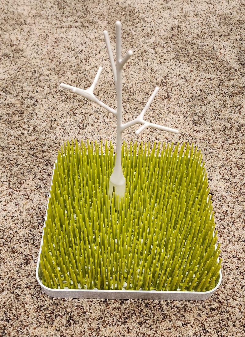 Boone drying grass. With tree.