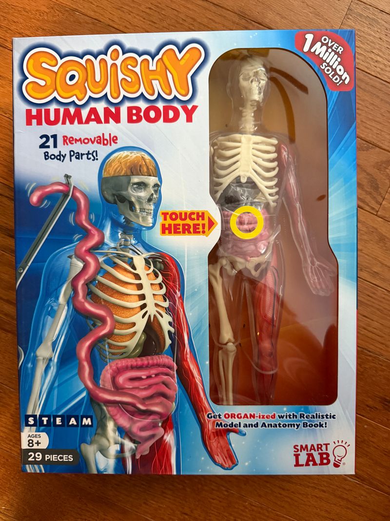 Smart lab. Squishy human body. New!!  Educational