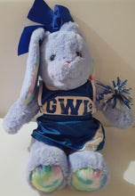 Load image into Gallery viewer, Build A Bear - Great Wolf Lodge bunny rabbit tye dye feet with cheerleader outfit Plush Toys
