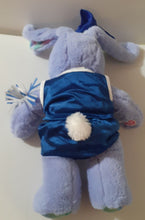 Load image into Gallery viewer, Build A Bear - Great Wolf Lodge bunny rabbit tye dye feet with cheerleader outfit Plush Toys
