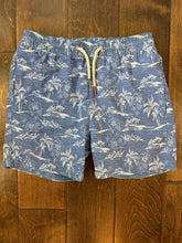 Load image into Gallery viewer, Fair Harbor - Bayberry Swim Trunk Youth Medium Color is Blue Island Hopper Tag removed inside but confirmed size 7
