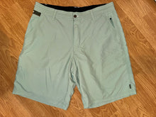 Load image into Gallery viewer, Howler Brothers Mens light/mint green shorts by Howler Brothers, size 38 38

