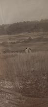 Load image into Gallery viewer, New canvas Approximately 5feet 2" tall by 3feet 6" wide Jesus in field with
